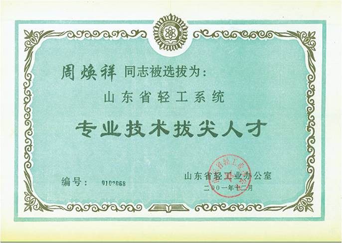 專業技(jì)術(shù)人(rén)才 專業技(jì)術(shù)人(rén)才